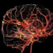 Kateryna Kon/Science Photo Library/Getty Images