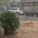 Redes sociais/ reprodução