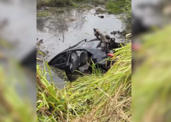 Veículo caiu em uma lagoa às margem da BR 226 — Foto: Divulgação/CBM