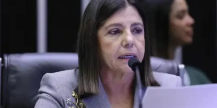 Reprodução/Câmara dos Deputados.