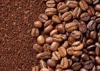 Lotes de café com entrega para setembro de 2026 sobem 4,81% — Foto: Canva/Creative Commons