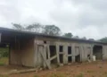 MPT/ reprodução