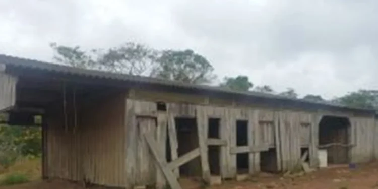MPT/ reprodução