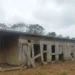 MPT/ reprodução