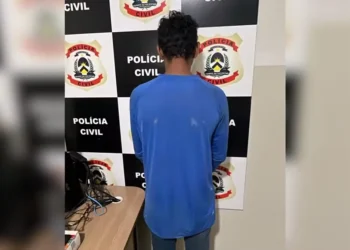 Foto: Divulgação/ Polícia Civil