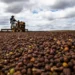 Foto: Wenderson Araujo/CNA