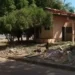 Homem de 32 anos morre durante abordagem da PM em Palmas — Foto: Reprodução/TV Anhanguera