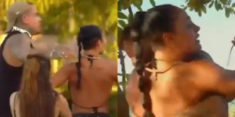 Reprodução