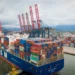 Cargas de exportação são destaque na movimentação e registram novo recorde histórico mensal do Porto de Santos — Foto: Santos Port Authority