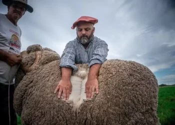 Foto: Arquivo pessoal