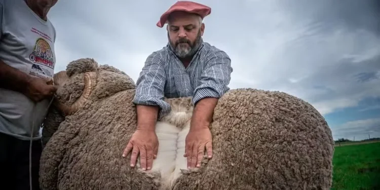 Foto: Arquivo pessoal