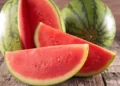 Foto: Canva/Creative Commons