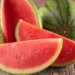 Foto: Canva/Creative Commons