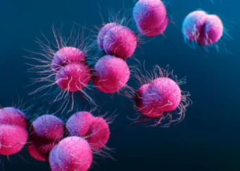 Alissa Eckert/Science Photo Library/Getty Images