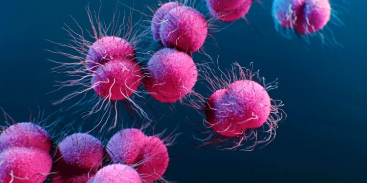 Alissa Eckert/Science Photo Library/Getty Images