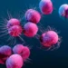Alissa Eckert/Science Photo Library/Getty Images