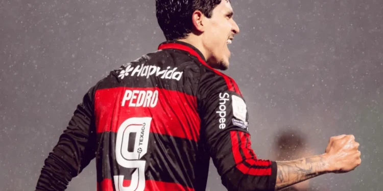 Adriano Fontes/Flamengo