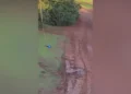 Arquivo pessoal