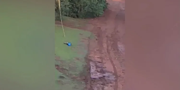 Arquivo pessoal