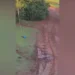 Arquivo pessoal