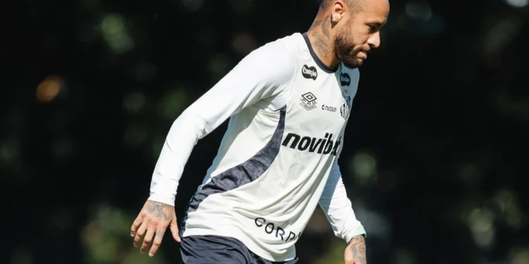 Raul Baretta/ Santos FC.