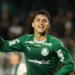 Cesar Greco/Palmeiras