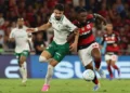 Cesar Greco/Palmeiras