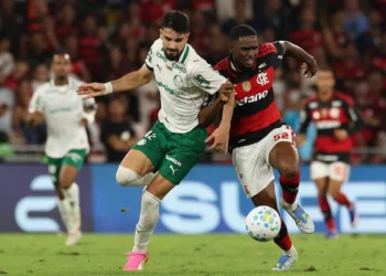 Cesar Greco/Palmeiras