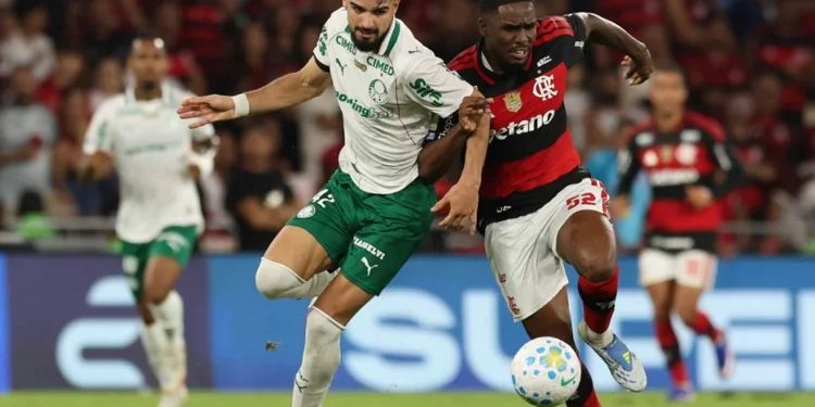Cesar Greco/Palmeiras