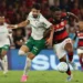 Cesar Greco/Palmeiras