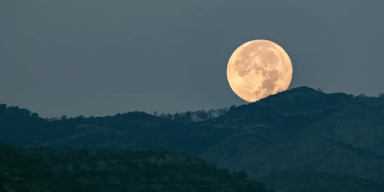 Daniel Garrido/Getty Images