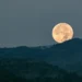 Daniel Garrido/Getty Images