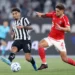 Vitor Silva/Botafogo