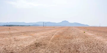 Durante o vazio sanitário, está proibido no Tocantins o plantio e a manutenção de plantas vivas
 de soja no campo
- Foto: Keven Lopes/Governo do Tocantins