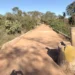 Bloqueio será mantido por tempo indeterminado, durante a execução dos serviços no local - Ageto/Governo do Tocantins