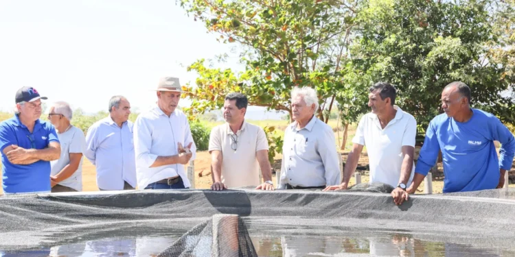 Foto: Francisco Barros