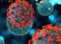 Magnific