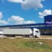 A FriGol abateu 225.527 bovinos no trimestre, uma alta de 45,9% em relação ao mesmo período de 2025 — Foto: Divulgação/Frigol