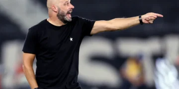 Vitor Silva/Botafogo