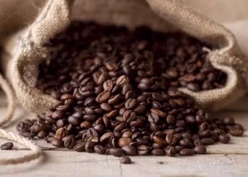 Estoquistas brasileiros relataram que não estão aceitando mais fornecimento de café, sinal de que produtores estão aguardando preços mais elevados — Foto: Freepik