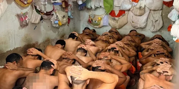 Presos da Unidade Penal de Araguaína — Foto: Reprodução/MPTO
