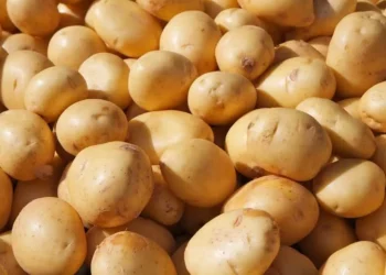 Preço da batata-inglesa apresentou redução de 19,59%, segundo o IPCA — Foto: Pixabay