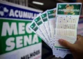 Breno Esaki/Metrópoles