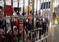 CNJ/Divulgação