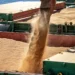 Foto: Claudio Neves/Portos do Paraná