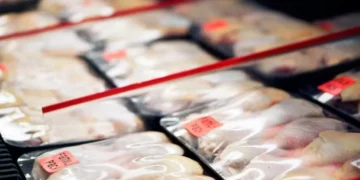 https://globorural.globo.com/pecuaria/aves/noticia/2026/08/precos-da-carne-de-frango-reagem-e-exportacoes-tem-ritmo-recorde.ghtml#:~:text=Pagamento%20de%20sal%C3%A1rios%2C%20volta%20%C3%A0s%20aulas%20e%20estoques%20ajustados%20pressionaram%20as%20cota%C3%A7%C3%B5es%20%E2%80%94%20Foto%3A%20Canva/Creative%20Commons
