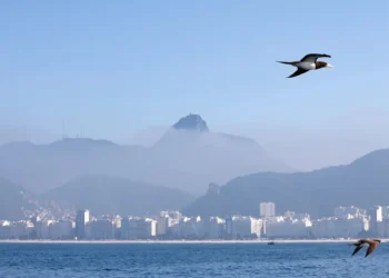 Tânia Rêgo/Agência Brasil