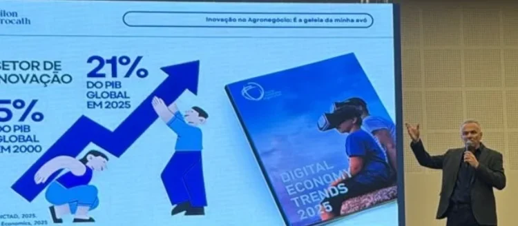 Divulgação