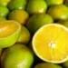 Foto: Ceagesp / Divulgação