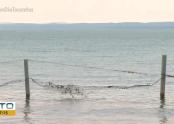 Jovem morreu enquanto tentava nadar em lago — Foto: Reprodução/TV Anhanguera